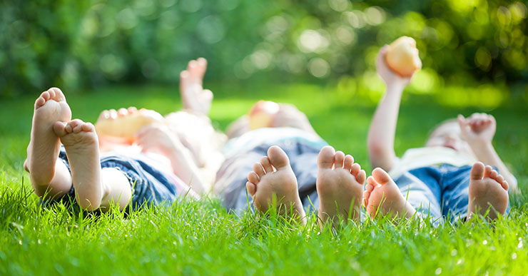 Benefits of a Healthy Lawn - Carolina Vistas Lawn Care