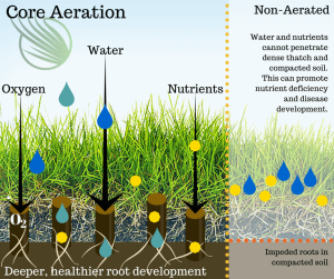 Benefits of Core Aeration