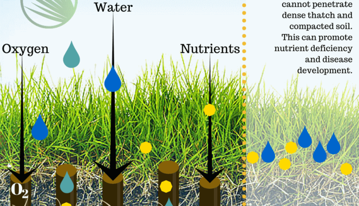 Core Aeration