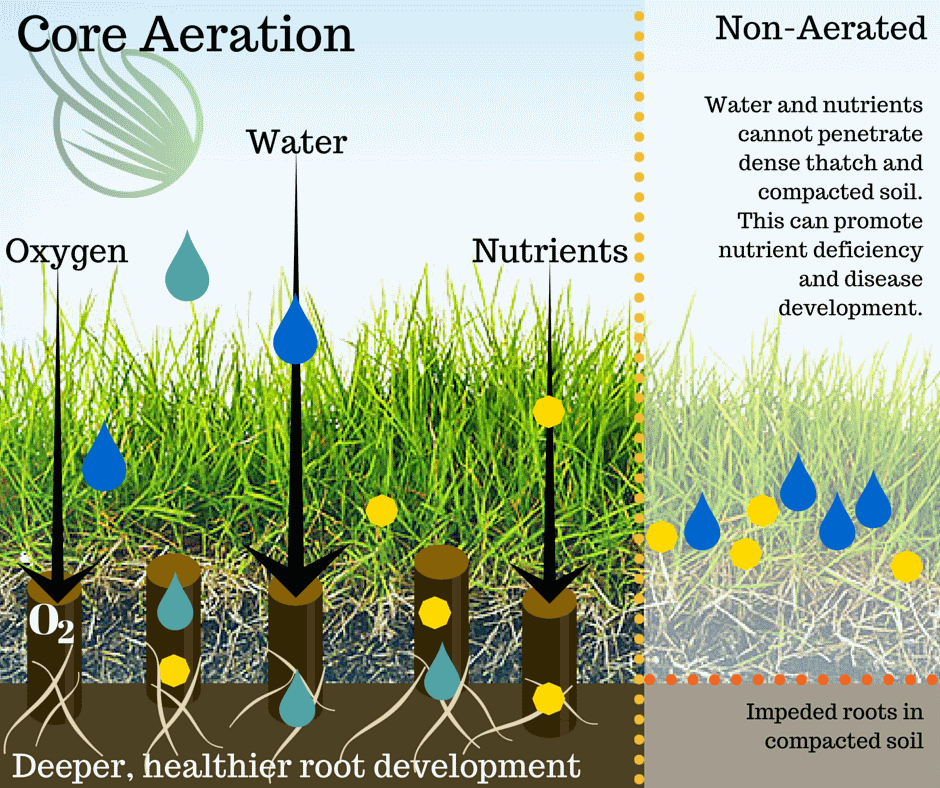 Core Aeration