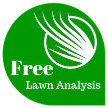 free lawn analysis